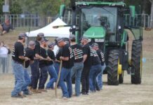 Winter Harvest Festival a go