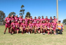 Region’s carnival triumph