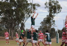 Cods lose to the premiers