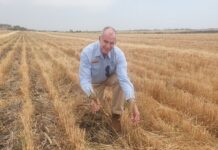 The increasing annual ryegrass problem