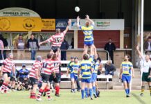 Downs Rugby set for finals action in first Super Saturday