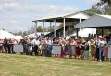 Warra Race Day expecting hundreds