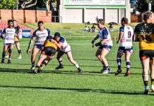 Hawks into the big dance