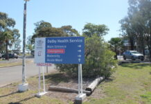 Three hospitalised after car hits kangaroo on highway