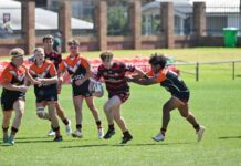 Tigers to face Diehards in final after nail-biting win