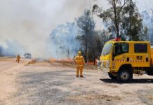 Funding boost to support crucial Western Downs bushfire resilience study