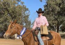 A milestone weekend at the Hannaford Campdraft