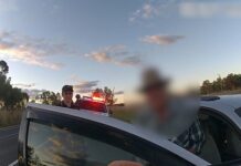 Elderly driver cops high range speeding fine on way to ‘feed the horses’