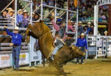 Dust settles on big three