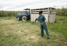 2025 AgriFutures Rural Women’s Award applications open