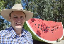MP pledges second office to service Western Downs
