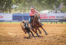 Grandfather Clock is ticking