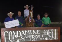 Roma rider rings Bell