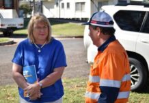 Election Q&A with LNP Warrego MP Ann Leahy