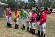 Villaden wins the cup