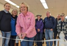 Pollies set for CSG grilling from environmentalists