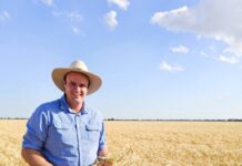 MP handed assistant cabinet role