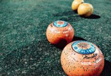 Chinchilla bowls round-up