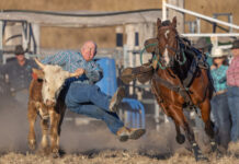 The spirit of the bush on showcase