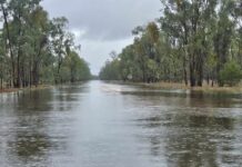 Highway closed, roads inundated as rain swamps Western Downs