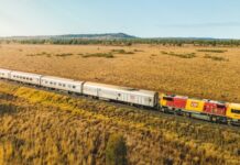 Half-price rail travel on offer