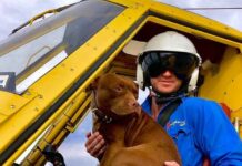 Pilot in fatal Chinchilla plane crash died quickly, coroner finds