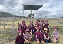 Gums students going great guns