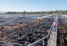 Can’t be ticked off yet as outbreak not under control