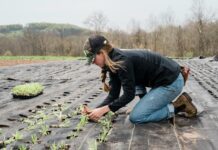 Women leading the agriculture industry