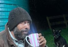 Bunya Mountain Dingo sightings