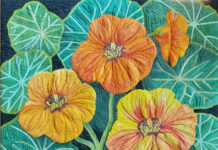 New exhibition delights