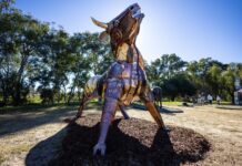 It’s an Out Back sensation