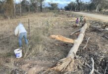 Push for more wind farm consultation