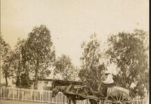 Historical picture of the week