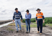 A win-win water situation