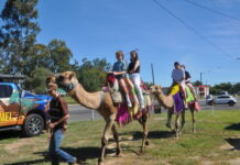 Family fun afternoon with Bluey and Bingo