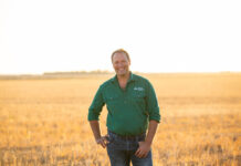 Red tape repercussions