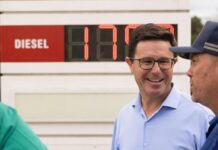 ‘No doubt’ Coalition are underdogs, Littleproud says