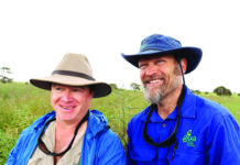 Increasing Crop Density