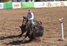 Campdrafting masterclass