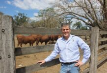 New plan for primary industries