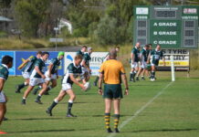 Cods drown Uni at the Fishtank