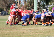 Frillnecks and Wheatmen play each other to a stalemate