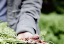 Can gardening count as exercise?