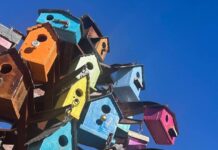 Encouraging all up and coming artists