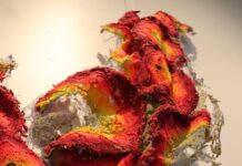 New exhibition to show