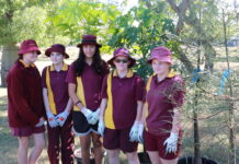 Jandowae students grow greener futures