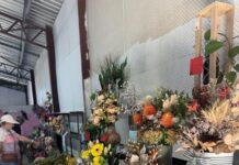 Mile’s Magnificent show