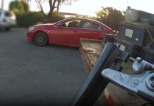 Chinchilla pair charged 54 times over spate of alleged thefts