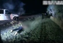 Man arrested after allegedly fleeing crash in stolen car